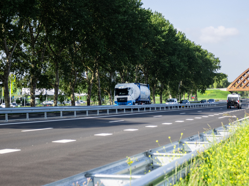 The director of your supply chain